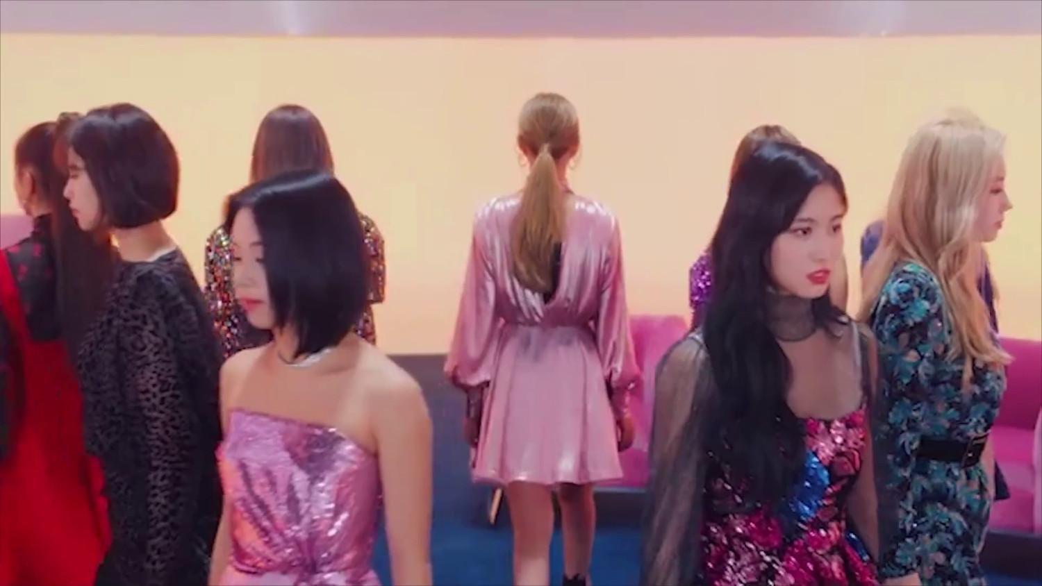 Twice Fake & True PMV